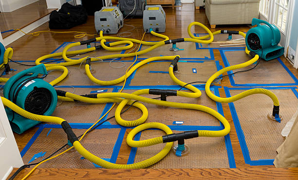 Professional Flood Damage Restoration technician working in Oak Park, MN